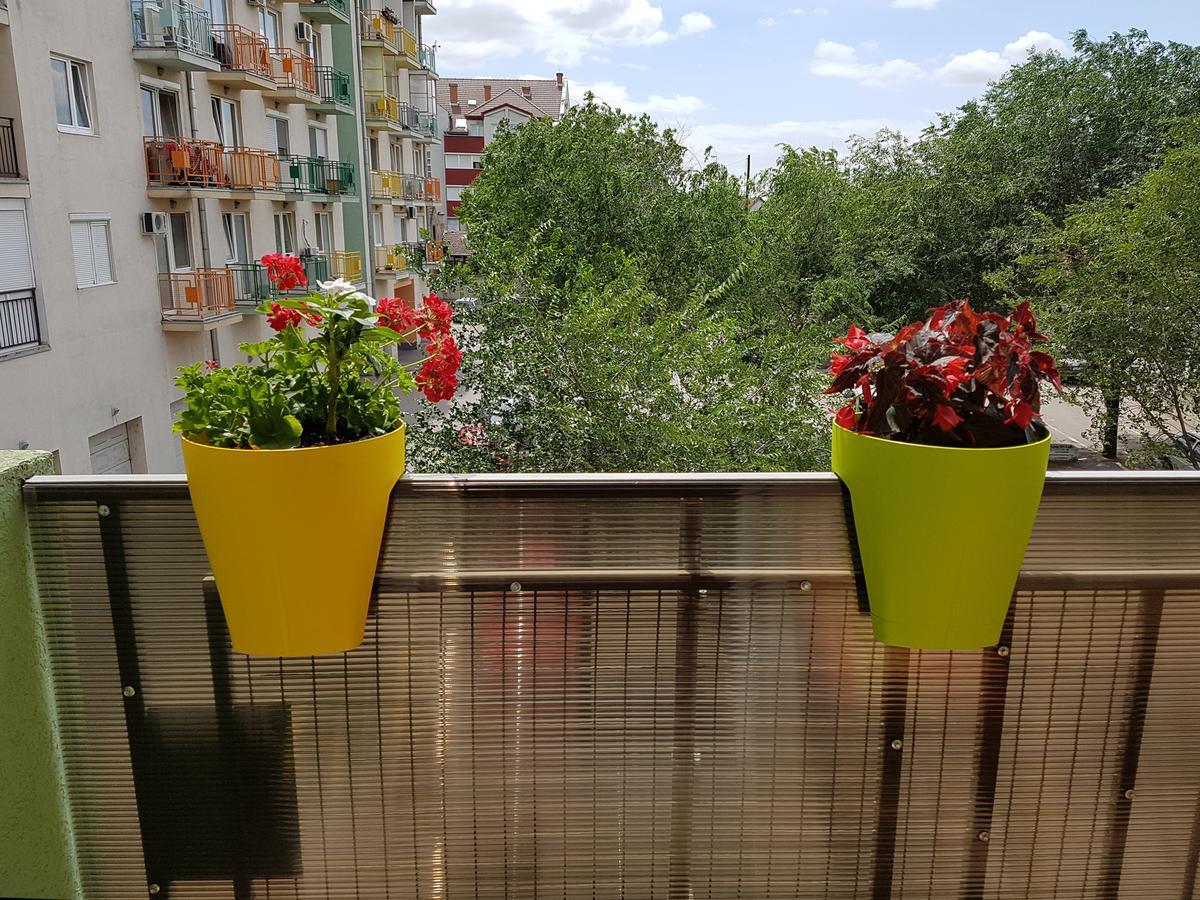 Apartman Boska Szabadka Kültér fotó